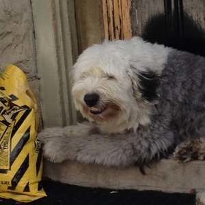 Meet your Posher, Stuart